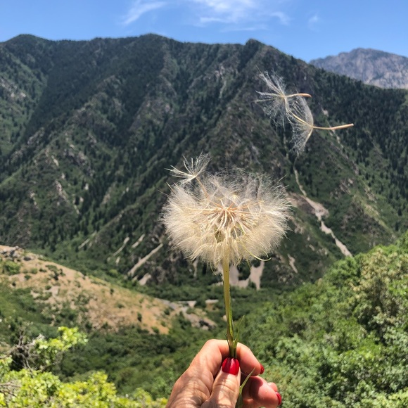 Nice to meet you!! - Colette - Picture 4 of 8